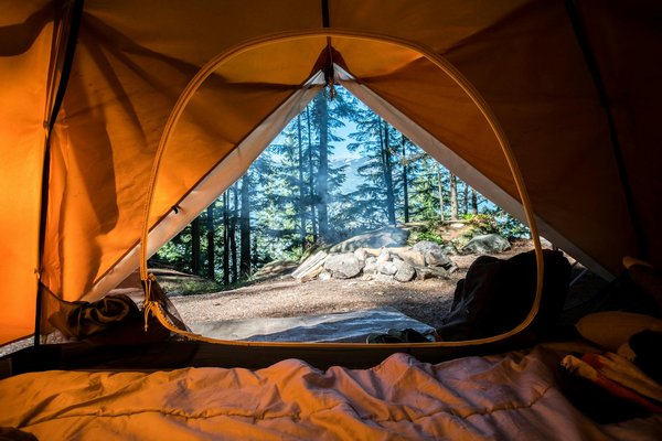 Comment organiser un camping pour une expédition de randonnée en forêt de chênes?