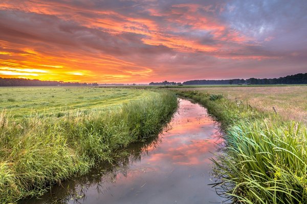 Explorer buenos aires et l'argentine : conseils pour un voyage réussi